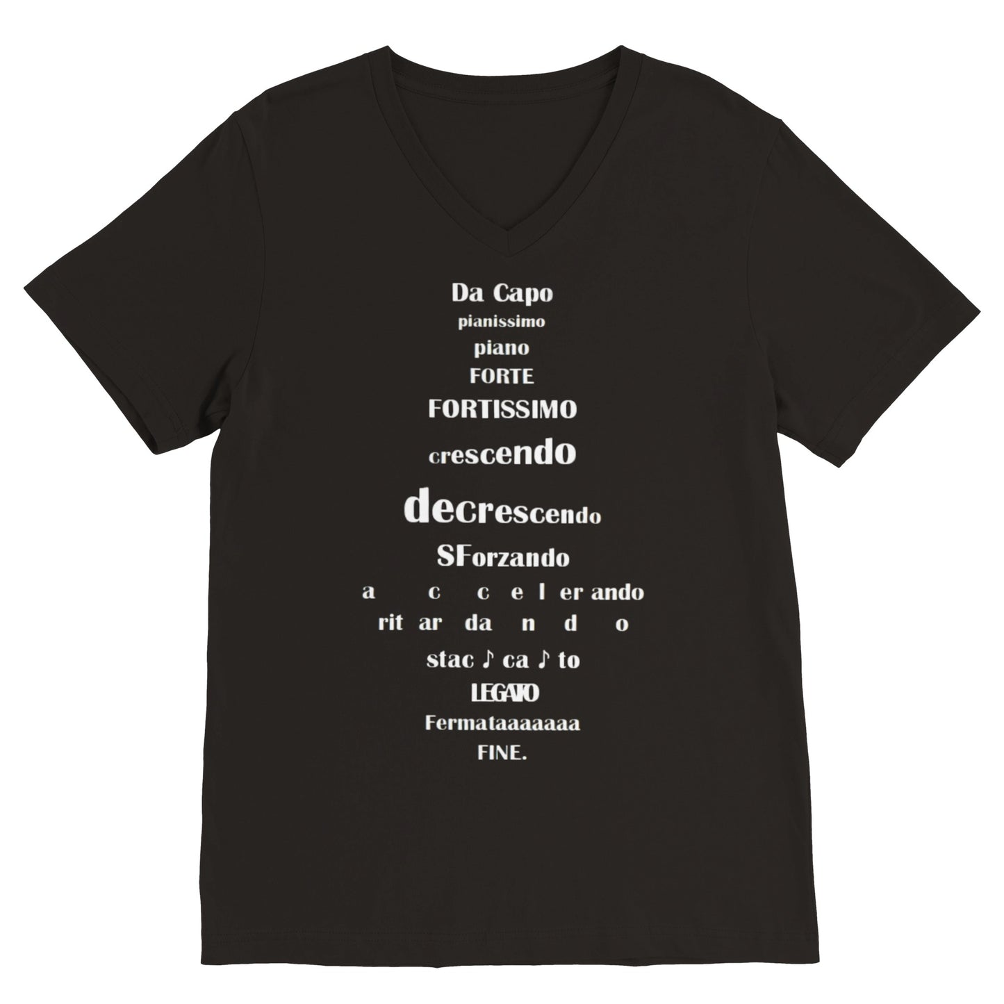 Musical Terms (V Neck)