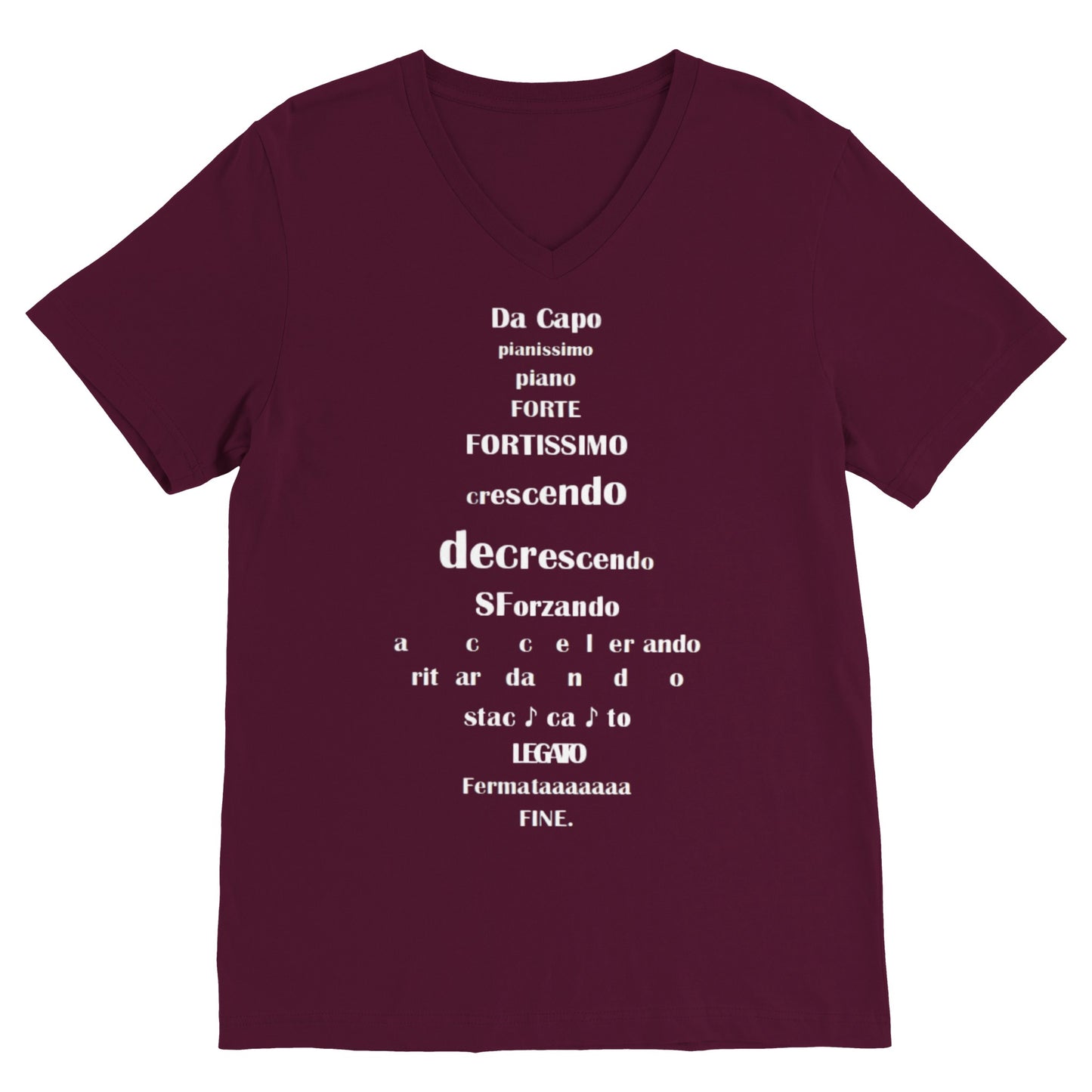 Musical Terms (V Neck)